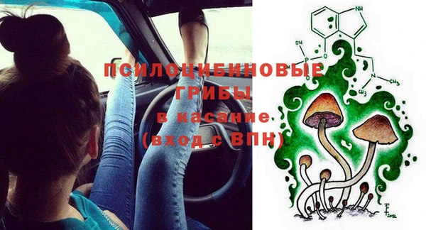 круглые Алзамай