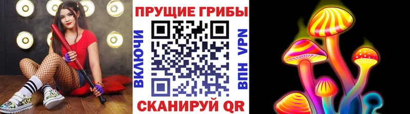 закладки  Сосновка  сайты даркнета состав  Псилоцибиновые грибы ЛСД 